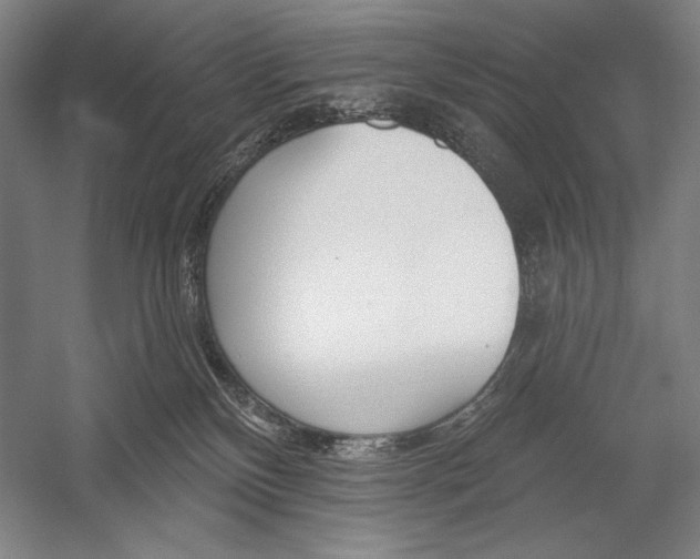 X0000053000136200507221257