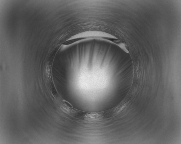 X0000053000137200507221257