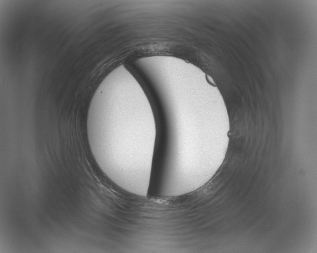 X0000053000140200507221257