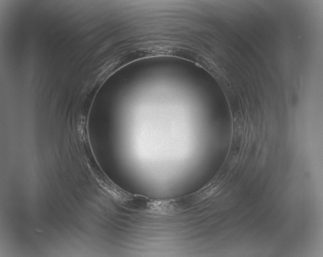 X0000053000141200507221257