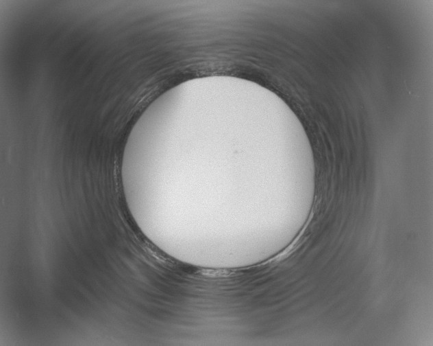 X0000053000144200507221257