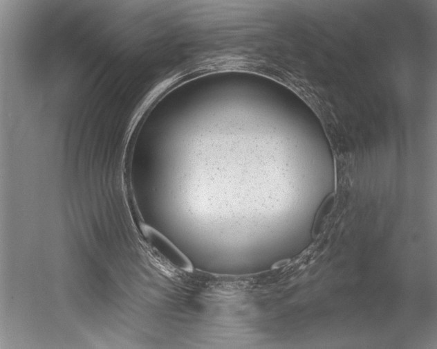 X0000053000147200507221256