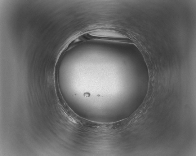 X0000053000148200507221256