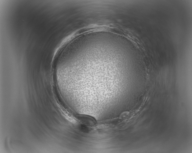 X0000053000149200507221256