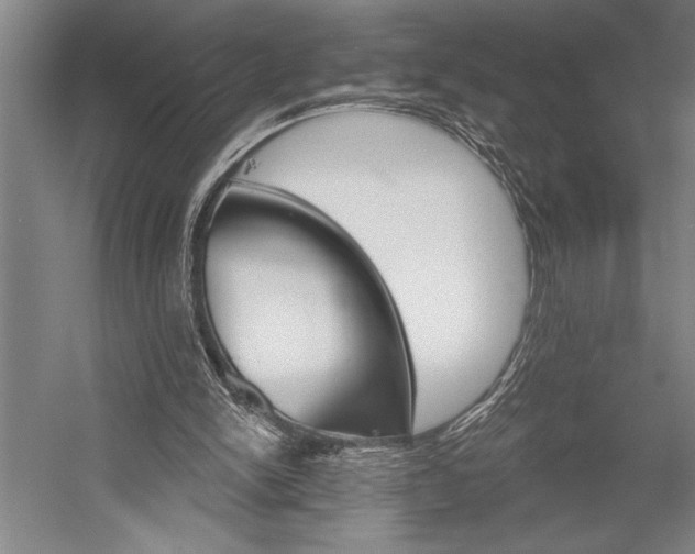 X0000053000150200507221256