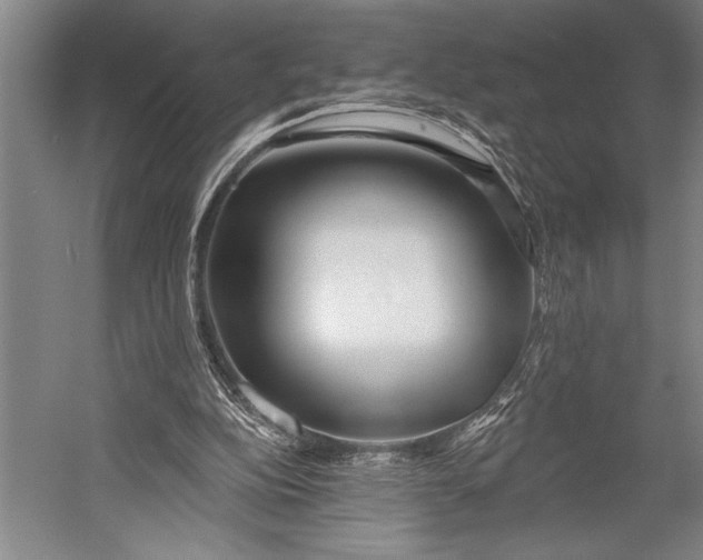 X0000053000152200507221256