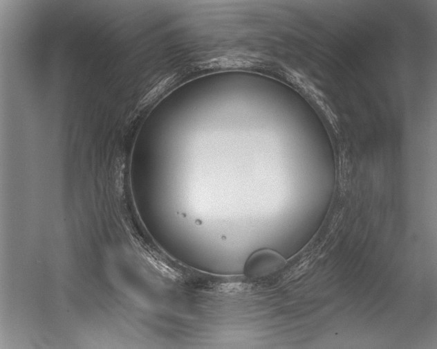 X0000053000153200507221256