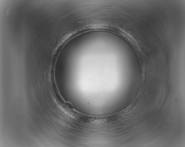 X0000053000155200507221256