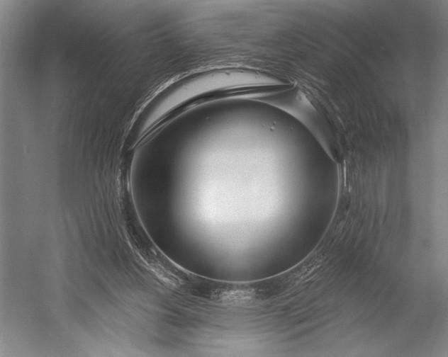 X0000053000156200507221256