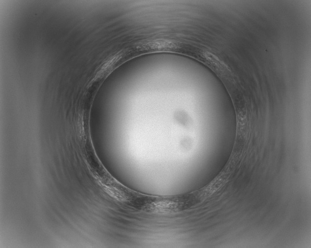 X0000053000158200507221256