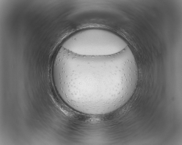 X0000053000159200507221256