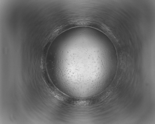 X0000053000161200507221256