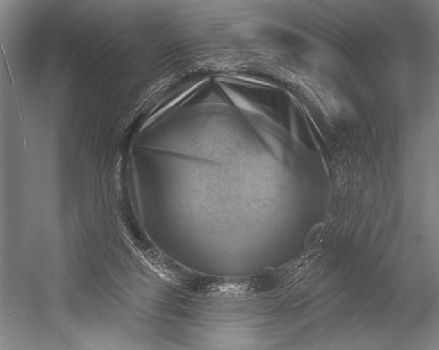 X0000053000163200507221256