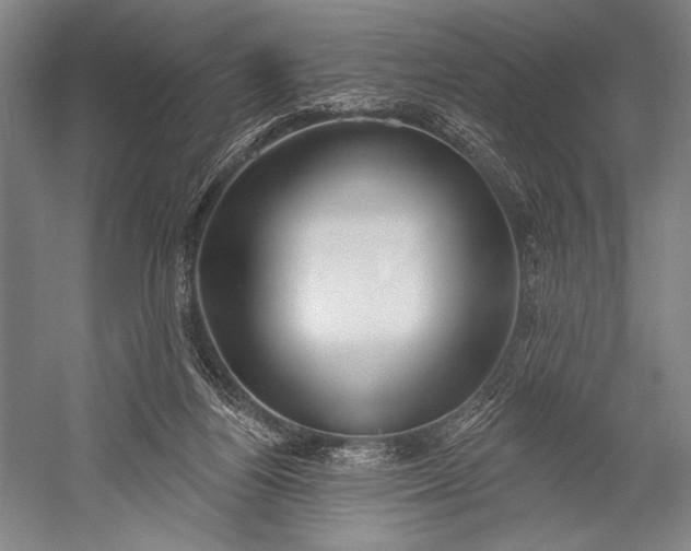 X0000053000164200507221256