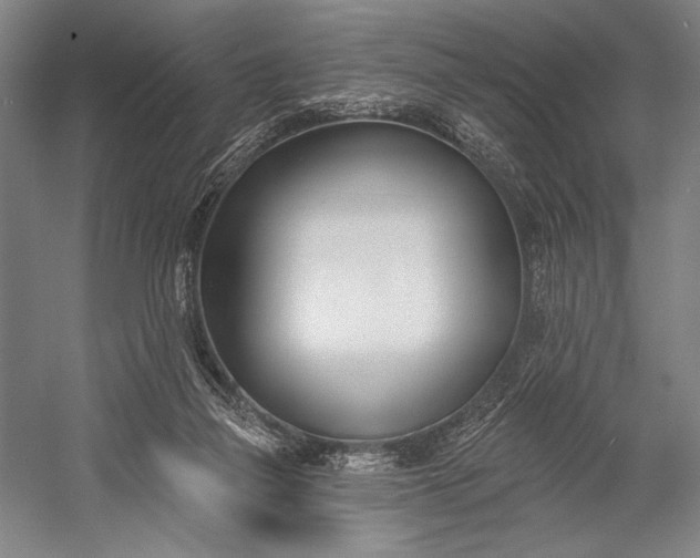 X0000053000165200507221256