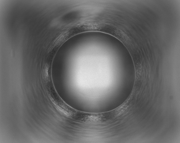 X0000053000166200507221256