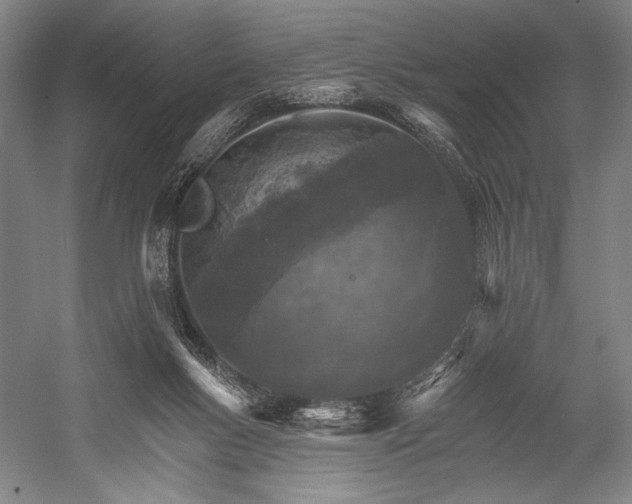 X0000053000167200507221256