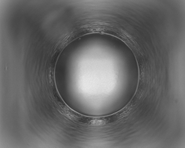 X0000053000169200507221256