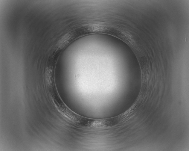 X0000053000171200507221256