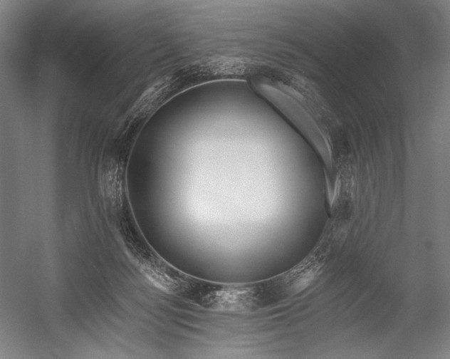 X0000053000172200507221256