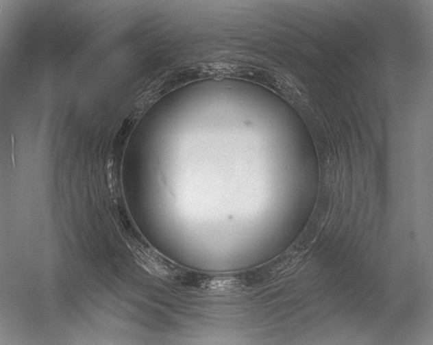 X0000053000173200507221256