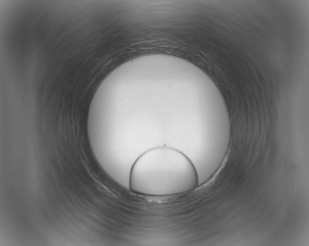 X0000053000174200507221256