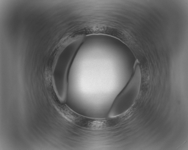 X0000053000176200507221256