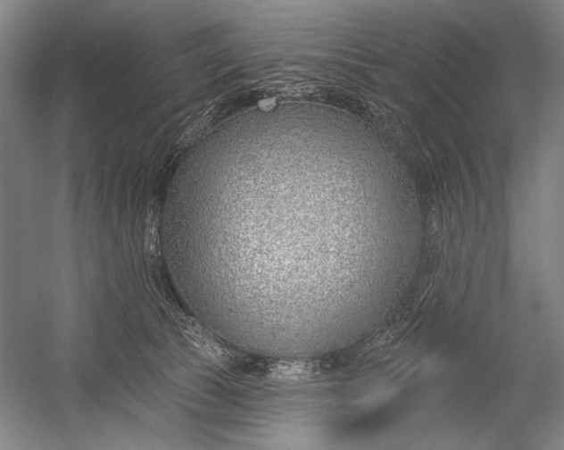 X0000053000177200507221256