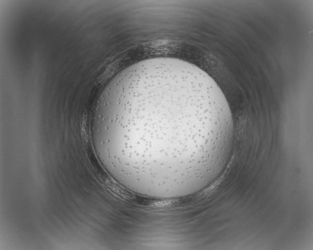 X0000053000178200507221256