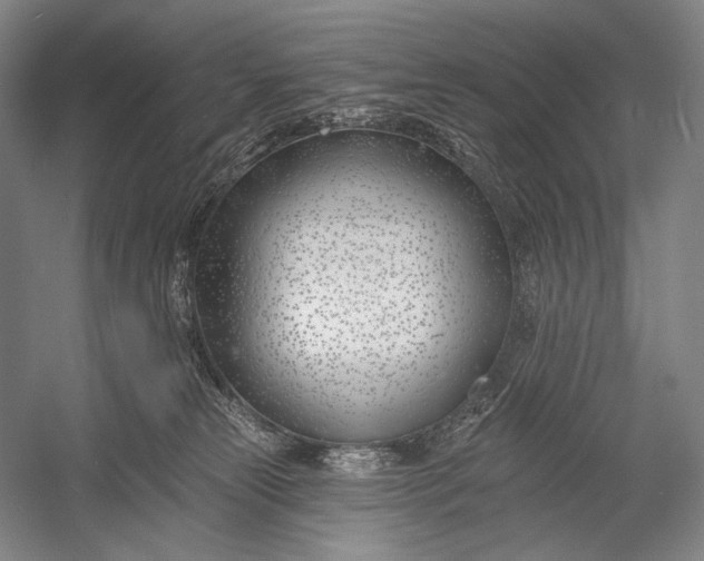 X0000053000181200507221256