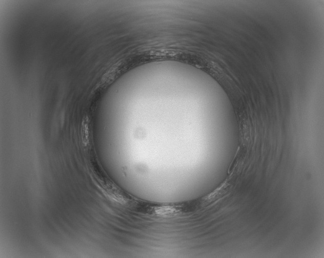 X0000053000183200507221256