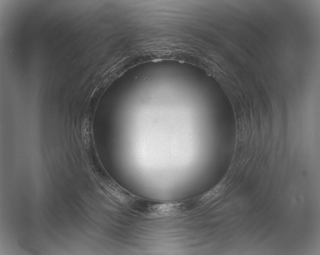 X0000053000184200507221256