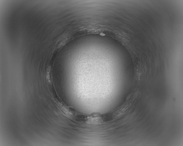 X0000053000185200507221256