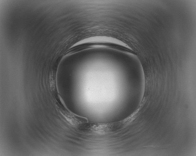 X0000053000186200507221257