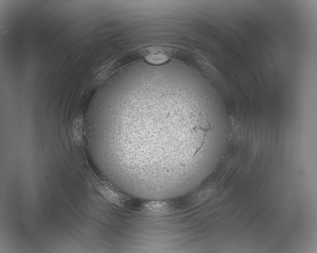 X0000053000189200507221257