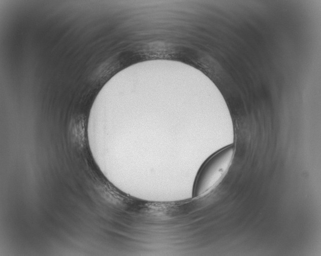 X0000053000190200507221257