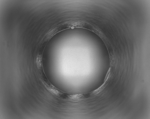 X0000053000191200507221257