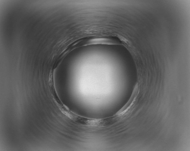 X0000053000192200507221257