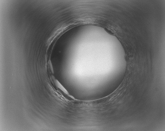 X0000053000194200507221256