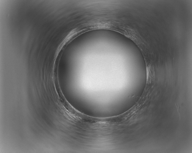 X0000053000195200507221256