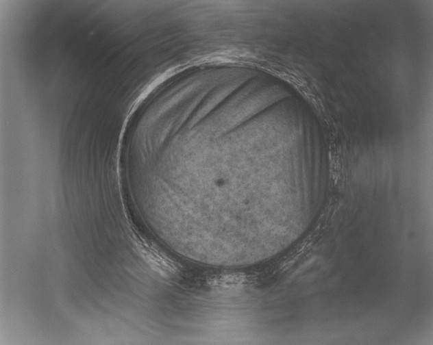 X0000053000196200507221256