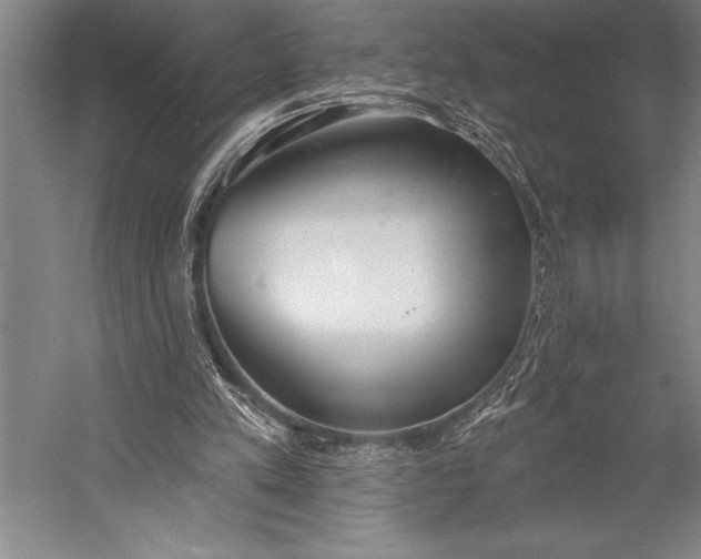 X0000053000197200507221256