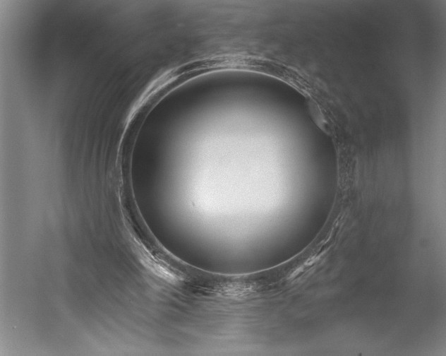 X0000053000198200507221256