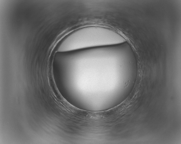 X0000053000199200507221256