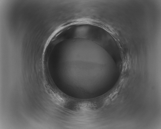 X0000053000200200507221256