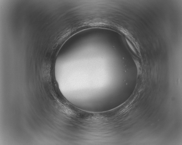 X0000053000201200507221256