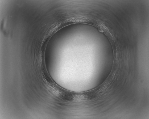 X0000053000202200507221256