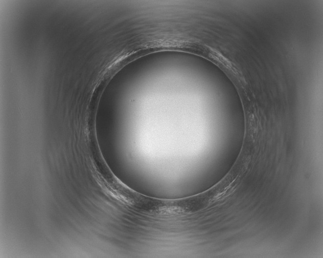 X0000053000203200507221256