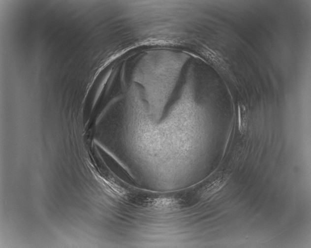 X0000053000204200507221256