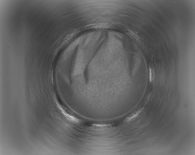 X0000053000205200507221256